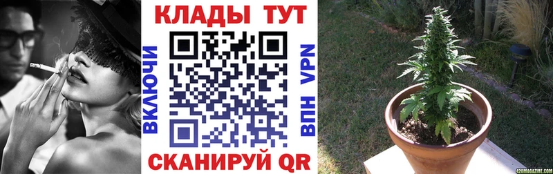 Наркошоп купить COCAIN  Меф мяу мяу  Альфа ПВП  Марихуана  ГАШИШ  Дедовск